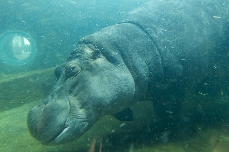 目が合うこともしばしば。