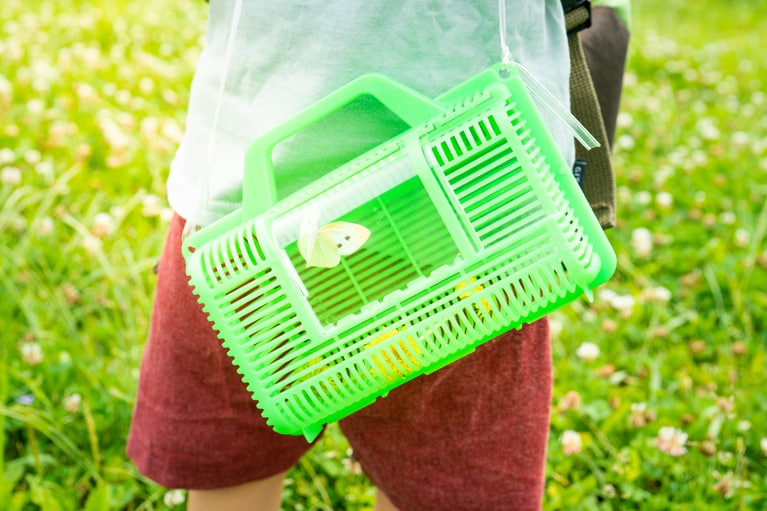 写真はイメージです。写真：hanasaki/イメージマート