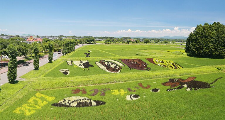 かがみいし田んぼアート。