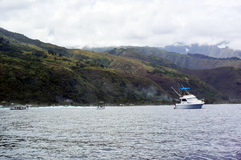 ザトウクジラ発見の一報を受けて、ボートが集まってきます。