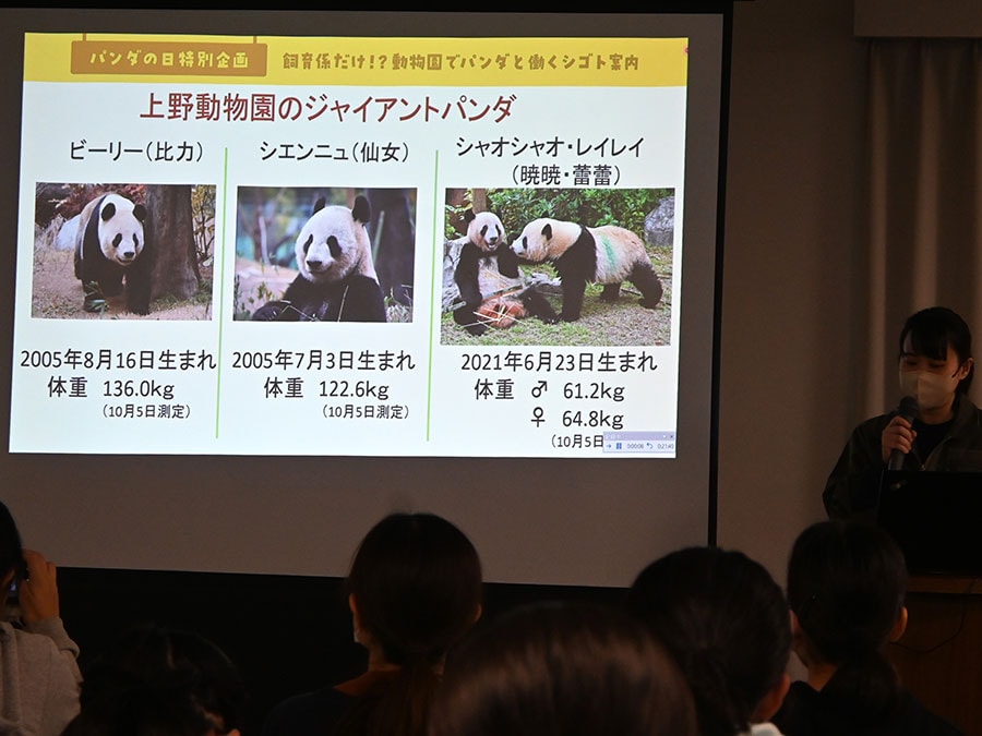 飼育係は日本名の「リーリー」「シンシン」ではなく、中国名の「ビーリー」「シエンニュ」と呼んでいる。（筆者撮影。写真のスライドの内容は上野動物園が作成。以下同）