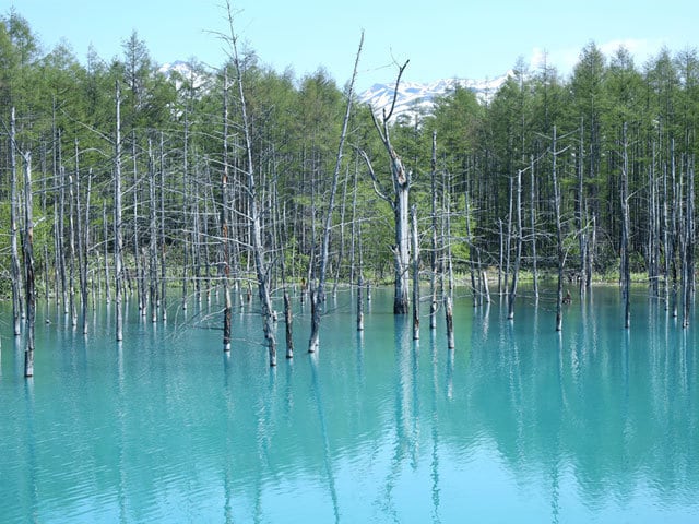 img_35e0db255515f617256260a763