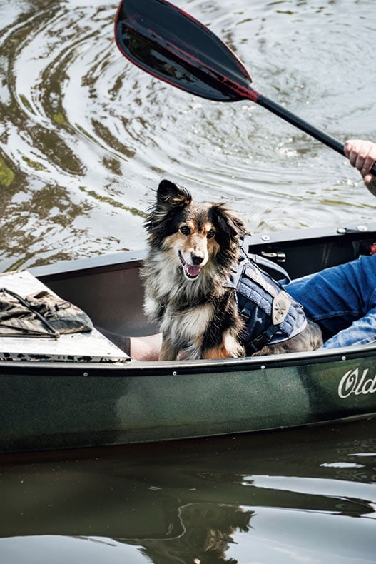 マイ・カヤックで漕ぎだす常連も。特等席で犬も誇らしげ。