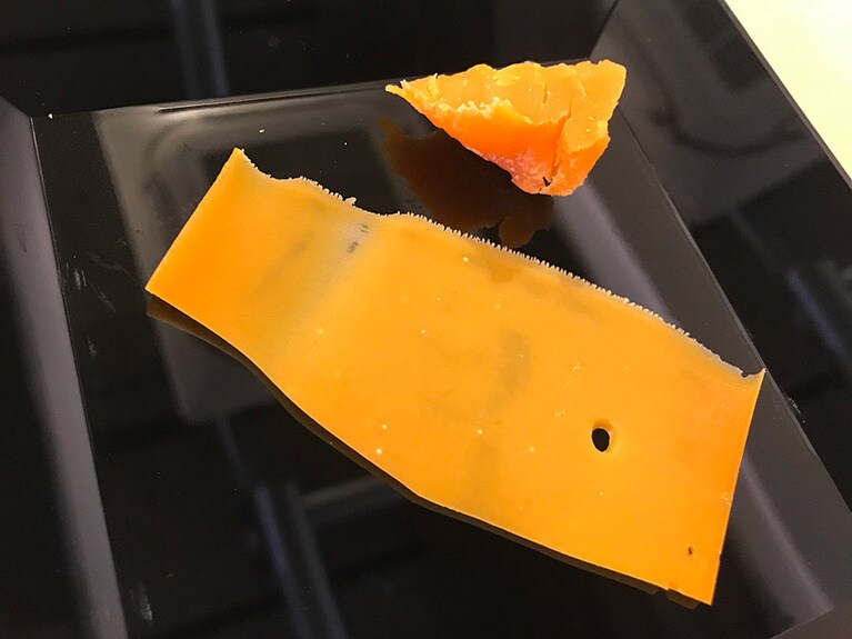 「二世古 椛【momiji】」を薄くスライスしたものと、四角くキューブ状にしたもの。