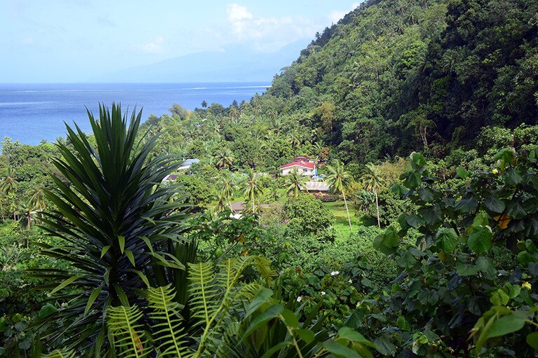 デッキテラスから見た眺め。早朝、ニワトリの時を告げる声が谷間に響く。
