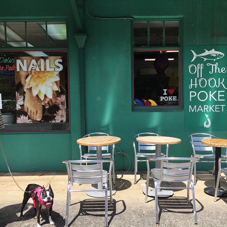 ペットもウエルカム。この日はうちのベルのお友達の姫ちゃんに遭遇。