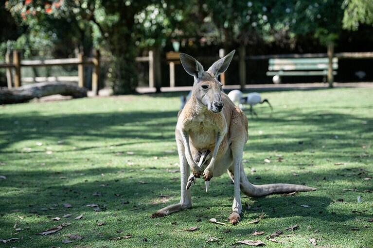 赤ちゃん大きすぎ。