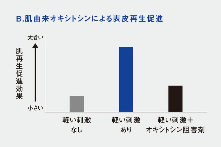 資生堂とマサチューセッツ総合病院皮膚科学研究所（CBRC）との共同研究より。