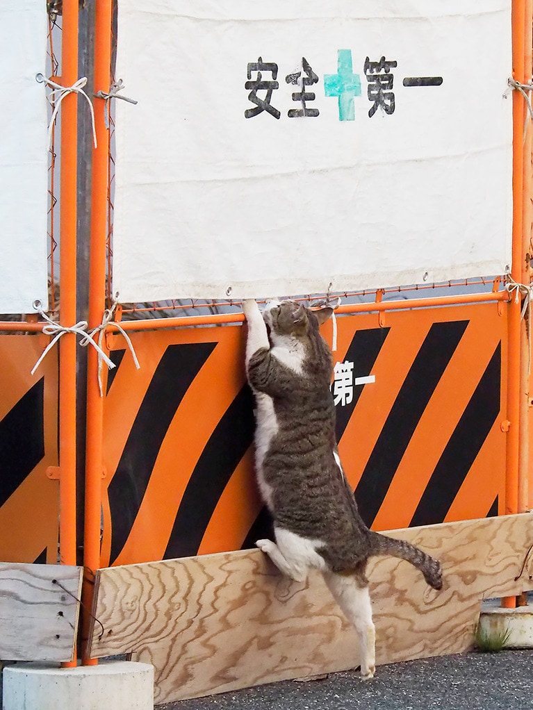 「ほんとに安全第一か確認してやる！」