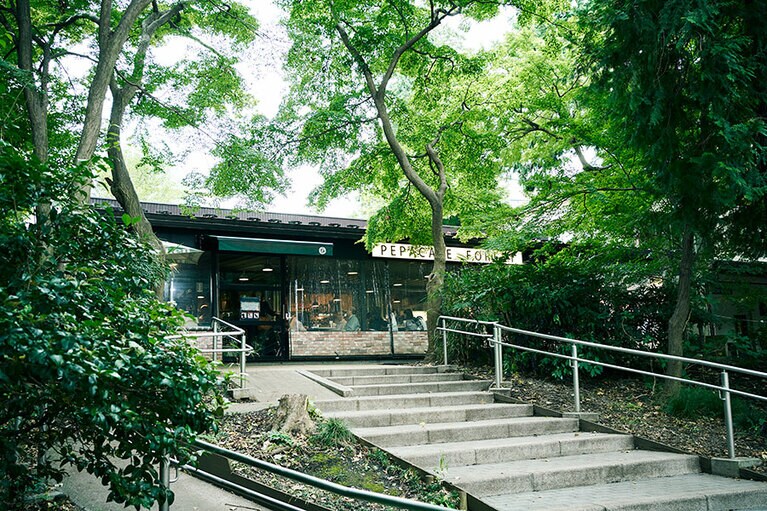 窓の外には、木々の向こうにスワンボートが浮かぶ井の頭池。＠pepacafeFOREST