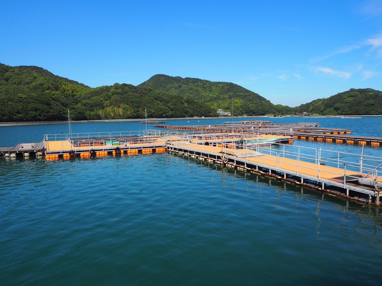 野網和三郎氏が“獲る漁業”から“育てる漁業”を目指して、この海で養殖にチャレンジした。