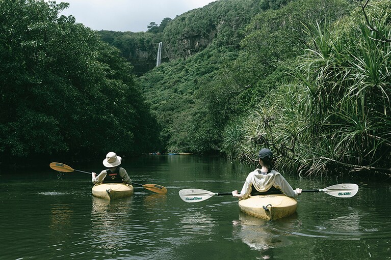 おしゃべりしながらカヤックに乗り、水辺を進むこと約30分。その先に見えたのは…….。