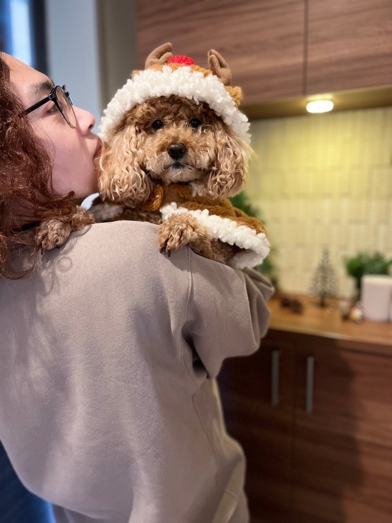 「おばはんとトナカイ」