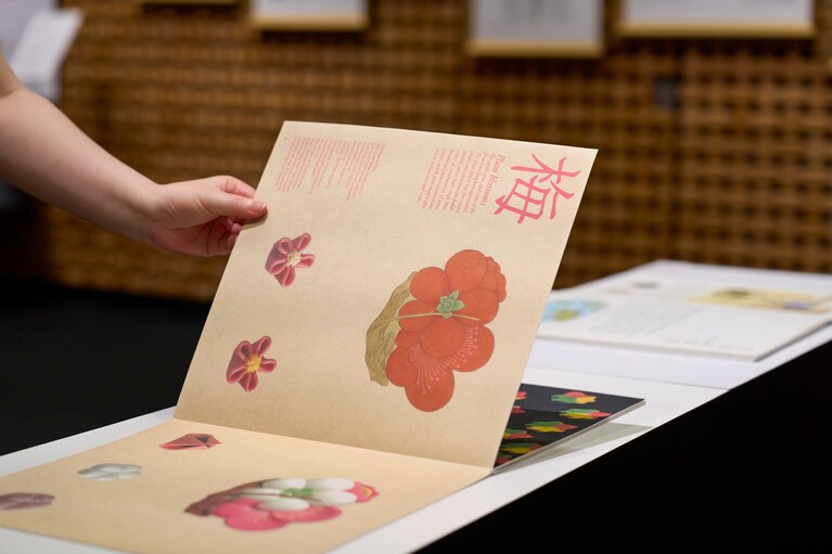 フランス語で和菓子を紹介した絵本も展示している。