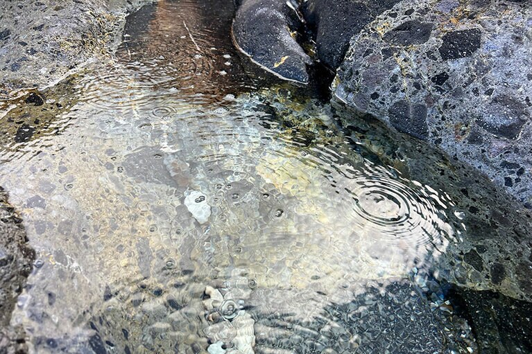 こうした源泉が浜のあちこちに。