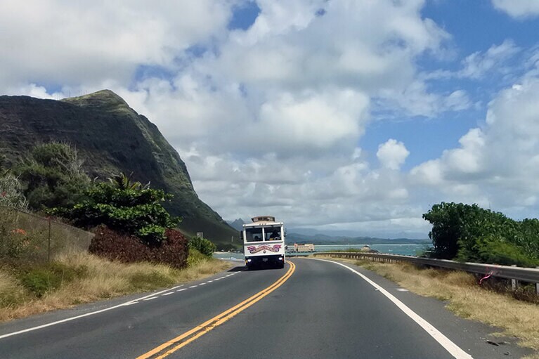 ハナウマベイの坂を越えたあたりから景色がワイルドに変わります。
