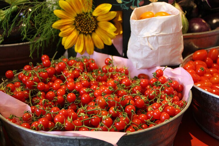 イタリア料理に欠かせないトマトも南米が原産。大航海時代にヨーロッパに伝わった。写真はロスカボスの「フローラ ファーム」。