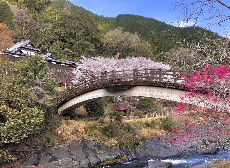 【宮崎県】おがわ作小屋村の桜。