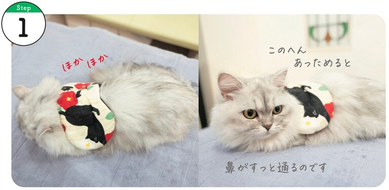 使用するツボ：大椎。