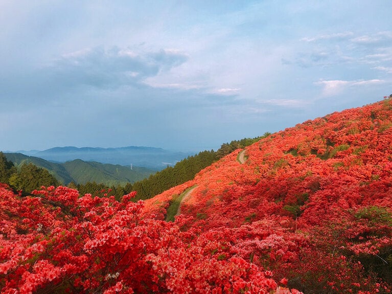 葛城山(かつらぎさん)。