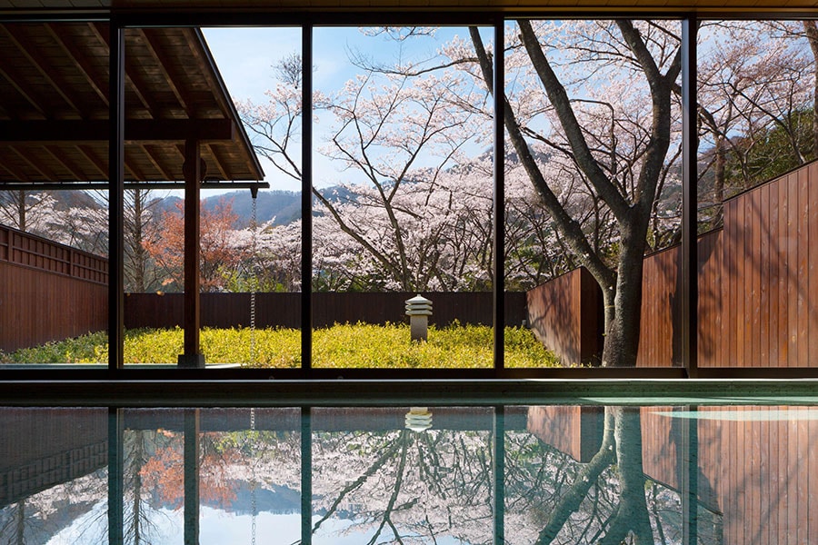 鬼怒川の四季を映す大浴場。春は桜の花見も楽しめる。