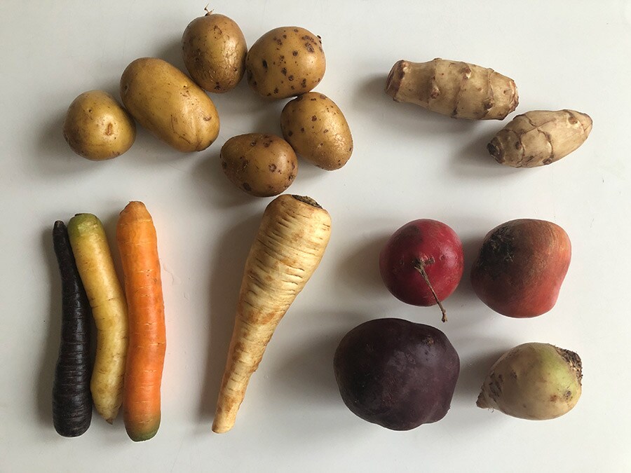 今回使った根菜。左上から時計回りに、ジャガイモ、菊芋、ビーツ(最近では白やオレンジのビーツも)、パースニップ(白人参)、カラフルな人参。