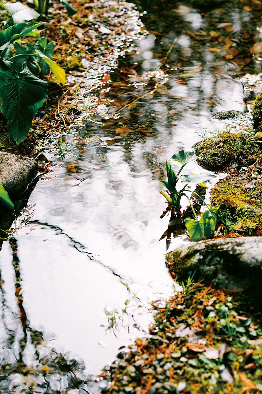 【山みず木別邸 深山山荘】敷地内を小川が流れ、せせらぎの音が自然のBGMになっている。Photo: Yoshikazu Shiraki