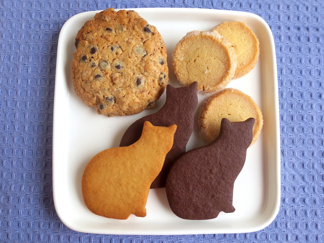 クッキー、サブレも人気。左上より時計回りに「アメリカンクッキー」220円、「発酵バターサブレ」1袋240円、「黒猫のショコラノワール」1袋240円、「茶トラのメイプルサブレ」1袋240円。