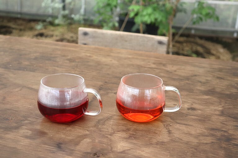 年間約120種類のハーブを育てている「グリーンハウス」では、好みの配合でブレンドしたハーブティをいただくことができる。