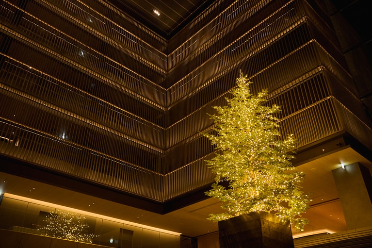 約7メートルの生モミの木。