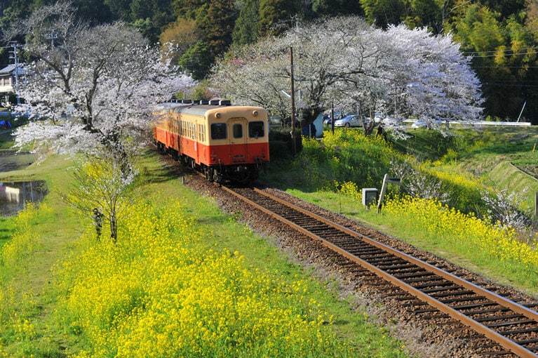 小湊鐡道 飯給駅。©(公社)千葉県観光物産協会／千葉県