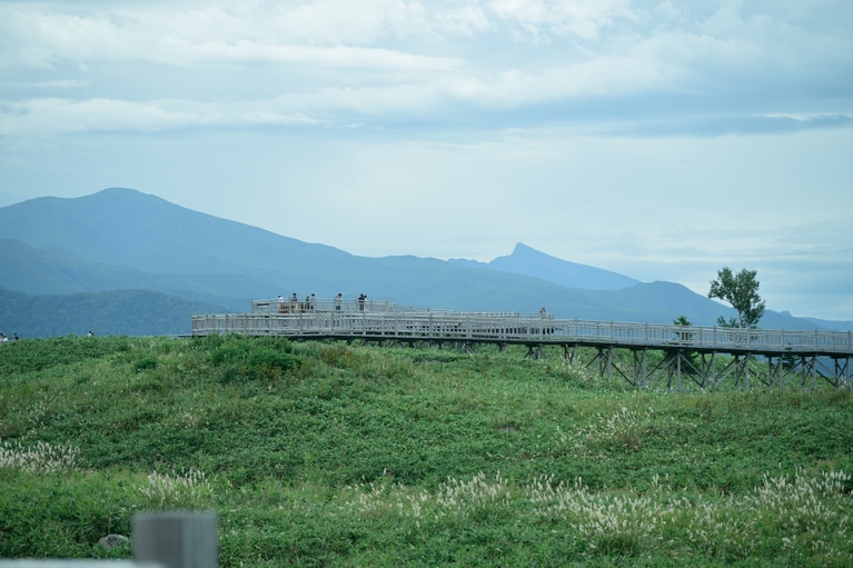 往復1.6kmの高架木道コースは歩きやすいように整備され、一湖の湖畔まで気軽に行くことができる。木道からは湖に映る知床連山やオホーツク海など、絶景が広がる。