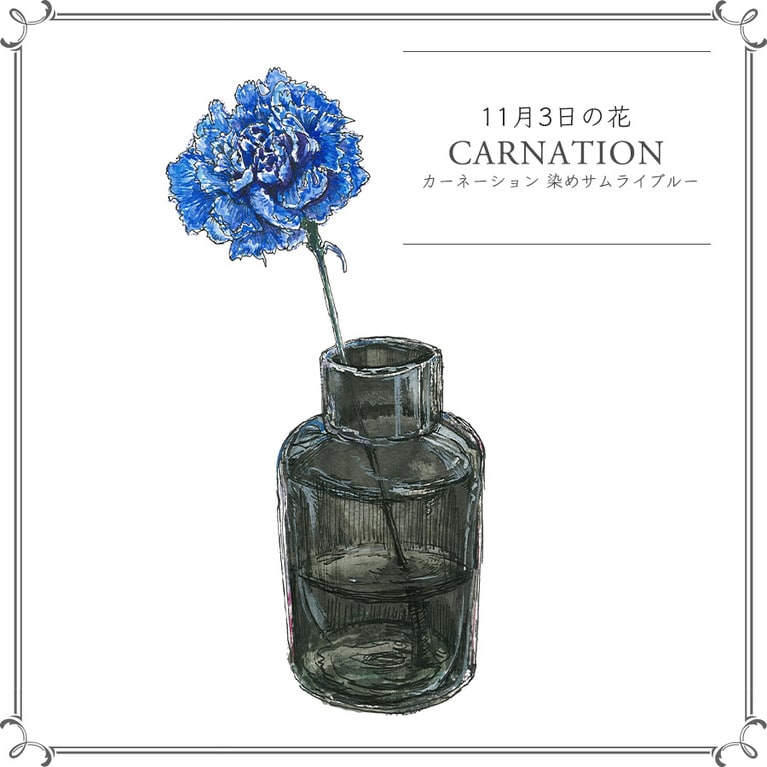 11月3日の花「カーネーション 染めサムライブルー」