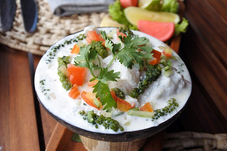 白身魚をライムで締め、ココナッツミルクでマリネしたフィジー名物のココンダ。