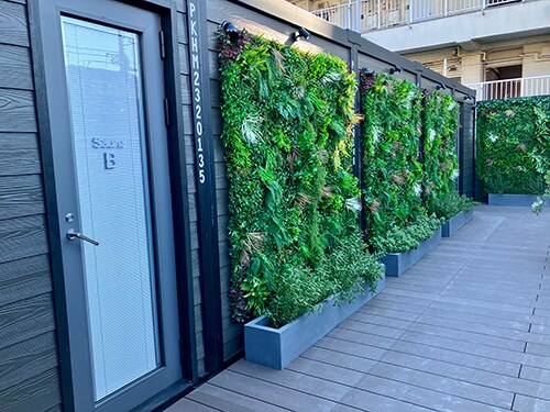 ととのう映画祭2024。