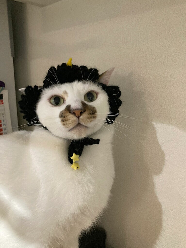 つぶ オス 2歳。