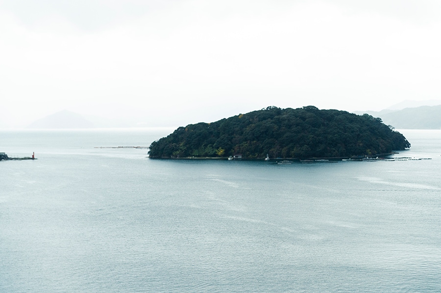 伊根湾を見守る「青島」。