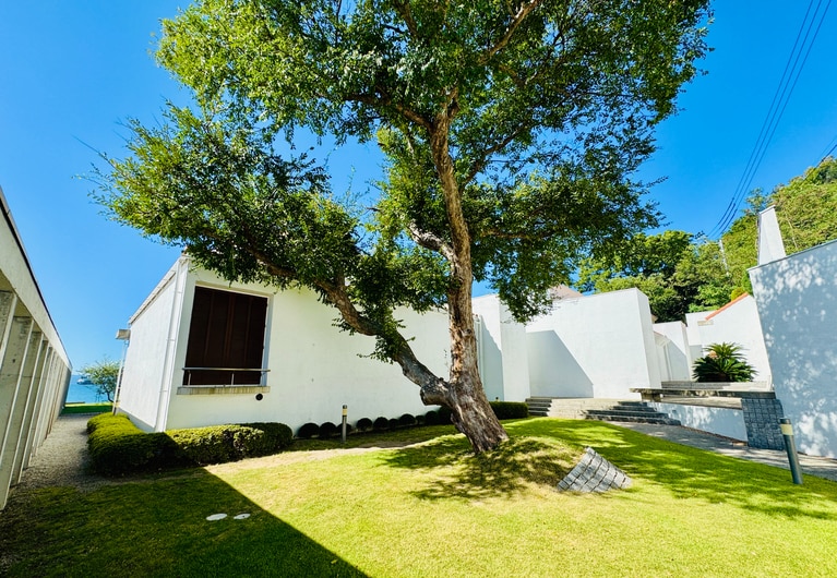 まるで南仏を訪れたかのような、シンボルツリーと白壁が印象的な空間。