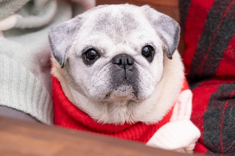 アザーカット。