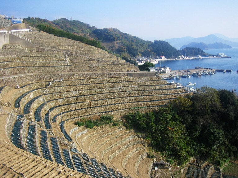 【愛媛県】遊子水荷浦の段畑。