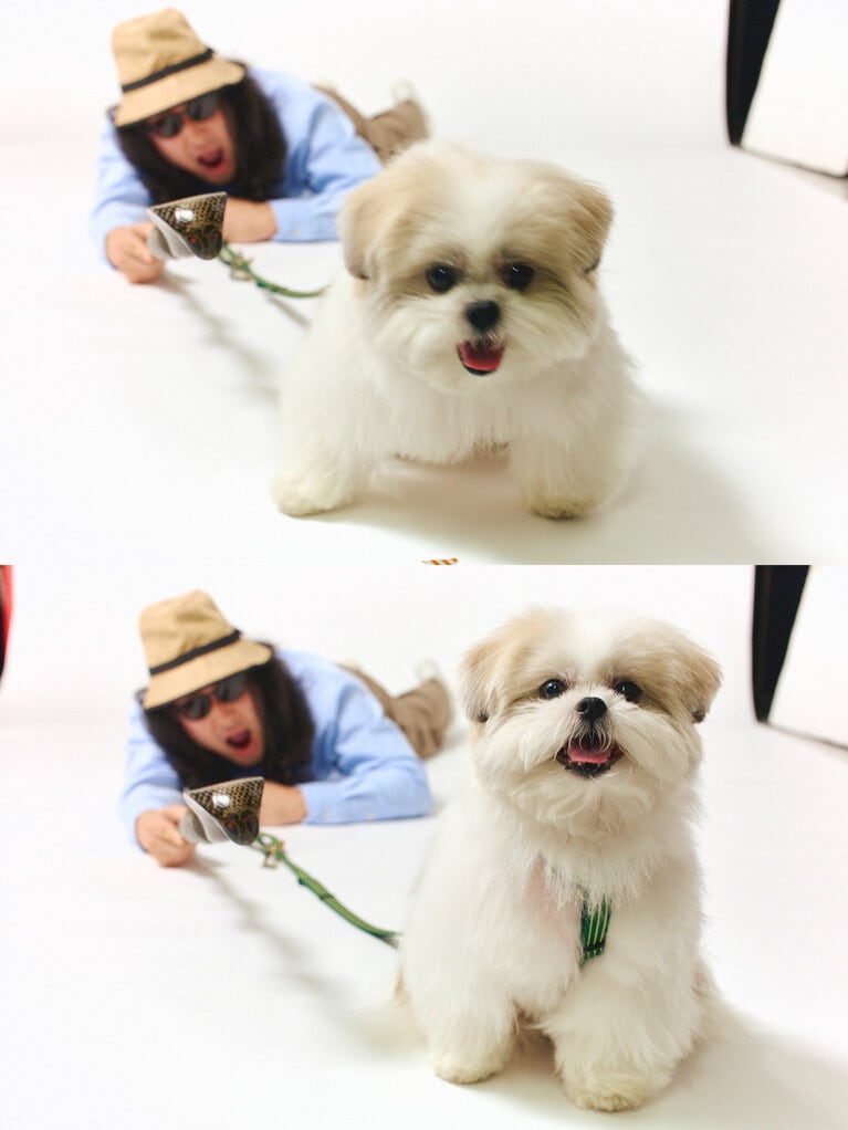 賀屋さんとモコゾウ。