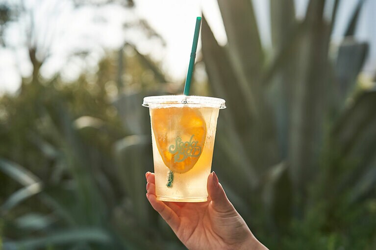 無農薬、減農薬の柑橘をじっくり漬け込んで作った「SODA BAR」の季節のフルーツソーダ540円。国産のデコポン、青みかん、レモンを使用。