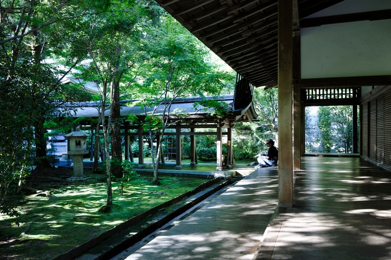 龍安寺では、雲龍図の特別拝観を実施している。