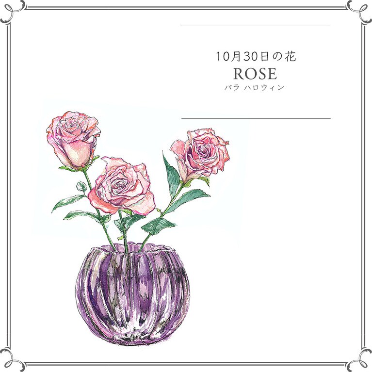 10月30日の花「バラ ハロウィン」