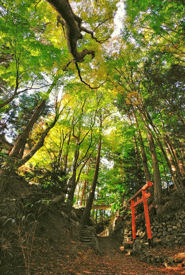 日野城跡(中野城跡)。