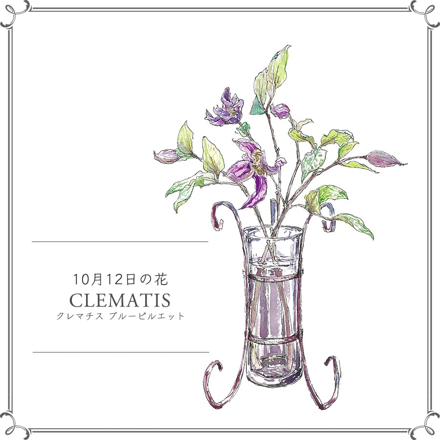 10月12日の花「クレマチス ブルーピルエット」