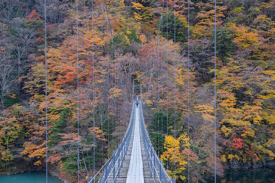 【静岡県】畑薙大吊橋。