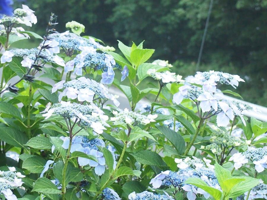 湿気は体調不良の原因のひとつ。