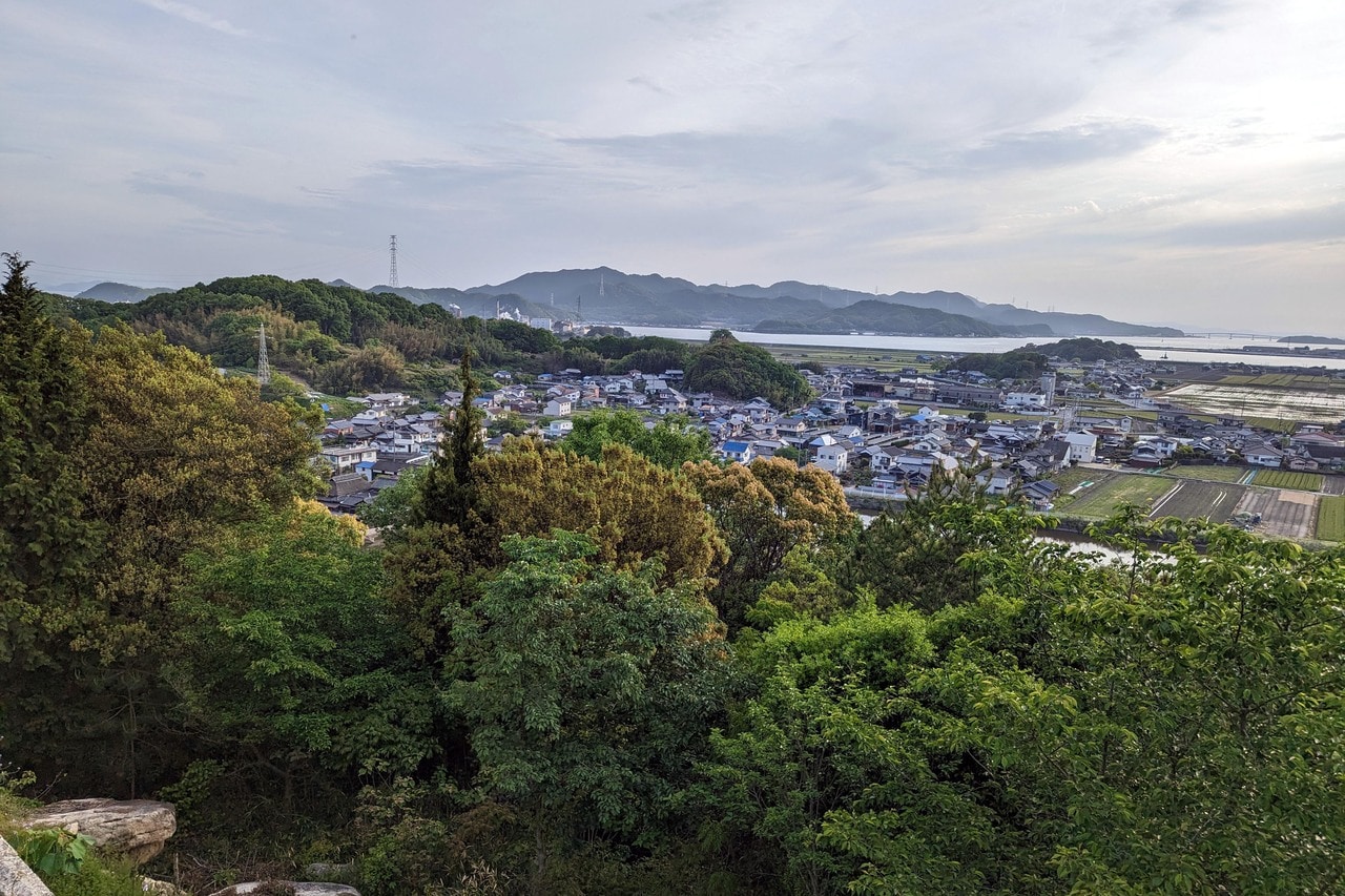 山の頂上から小島を眺めるも木々で視界が遮られる