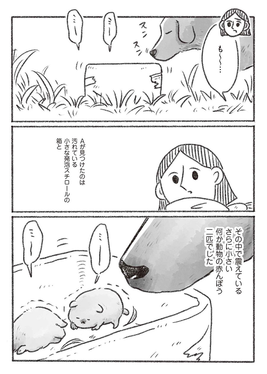 『老犬とつづ井』。